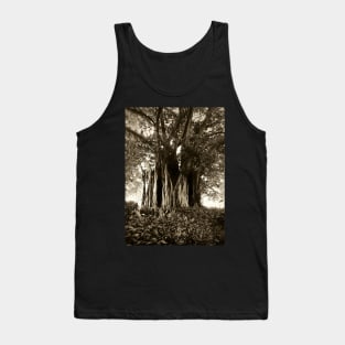 Fig Tree, Botanical Gardens, Melbourne Tank Top